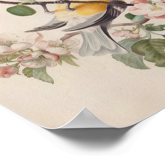 Zwei kleine Vögel in der Nähe eines Apfelblumenzwe Poster (Ecke)
