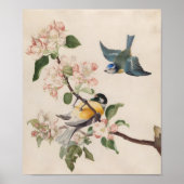 Zwei kleine Vögel in der Nähe eines Apfelblumenzwe Poster (Vorne)