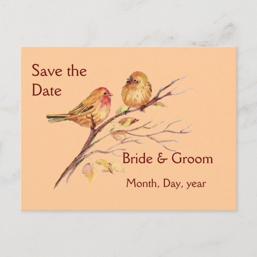 Zwei kleine Vogelspangen pfirsichbraun Rustikale N Ankündigungspostkarte (Vorderseite)