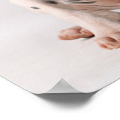 Zwei kleine Welpen aus schwarzem und weißem Dalmat Poster (Ecke)