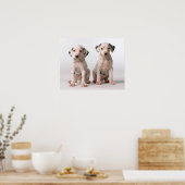 Zwei kleine Welpen aus schwarzem und weißem Dalmat Poster (Küche)