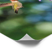 Zwei Kolibris fliegen mit Blume Poster (Ecke)