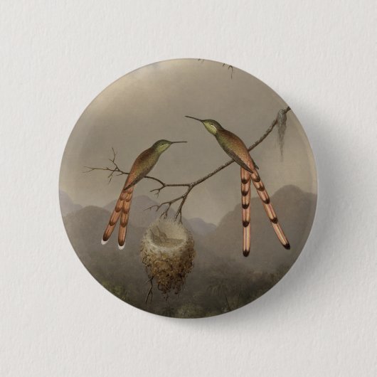 Zwei Kolibris mit ihren Jungen Button (Vorderseite)