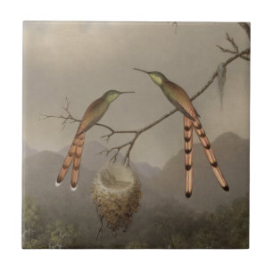 Zwei Kolibris mit ihren Jungen Fliese