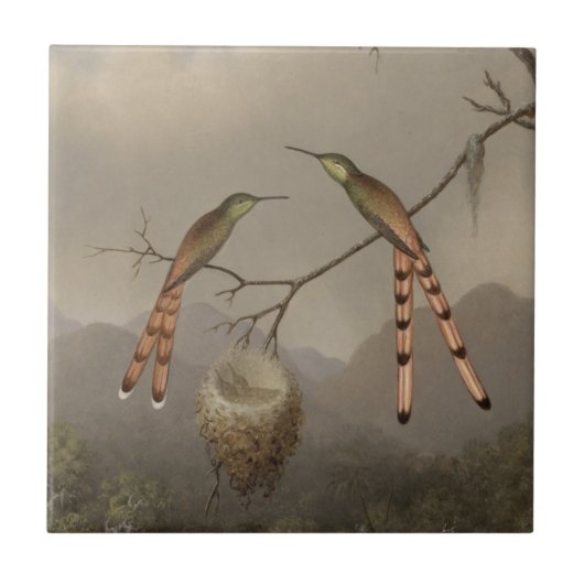 Zwei Kolibris mit ihren Jungen Fliese (Vorderseite)