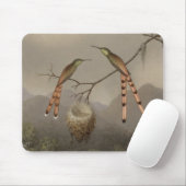 Zwei Kolibris mit ihren Jungen Mousepad (Mit Mouse)