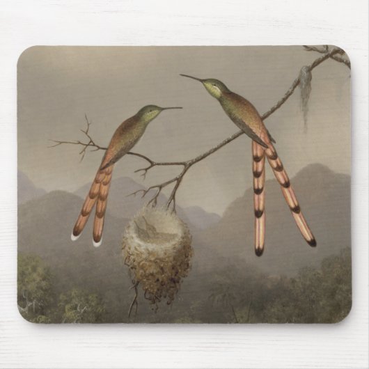 Zwei Kolibris mit ihren Jungen Mousepad (Vorne)