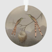 Zwei Kolibris mit ihren Jungen Ornament (Rückseite)