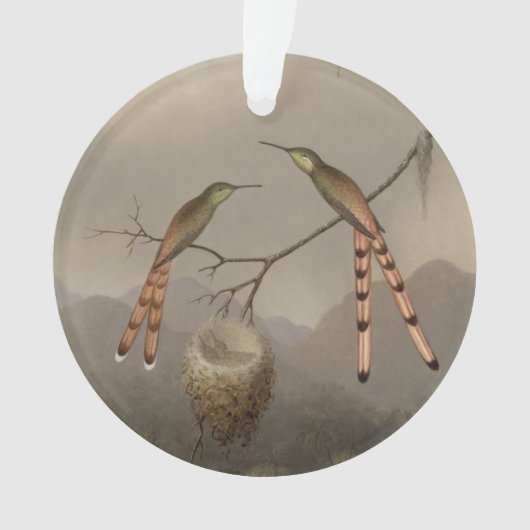 Zwei Kolibris mit ihren Jungen Ornament (Vorderseite)