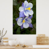 Zwei Kolumnen Poster (Küche)