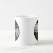 Zwei Königin Anne's Lace Kaffeetasse (Mittel)