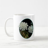 Zwei Königin Anne's Lace Kaffeetasse (Links)