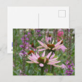 Zwei Konsolen & Wildblumen DIREKT Postkarte (Vorne/Hinten)