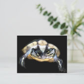 Zwei-Köpfige Schildkröte Postkarte (Stehend Vorderseite)