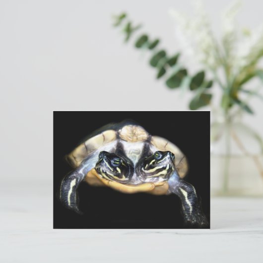 Zwei-Köpfige Schildkröte Postkarte (Stehend Vorderseite)