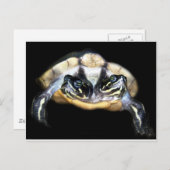 Zwei-Köpfige Schildkröte Postkarte (Vorne/Hinten)