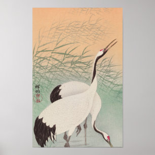 Zwei Kraniche (1925–1936) von Ohara Koson Poster
