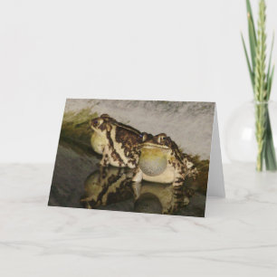 Zwei Kröten, die nach Küken Notecard suchen Karte