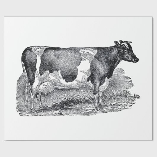 Zwei Kuh-Packpapier Geschenkpapier (Flach)
