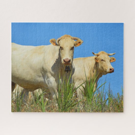 Zwei Kühe in Frankreich Puzzle (Horizontal)
