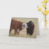 Zwei Kuhnuzzles Karte (Gelbe Blume)