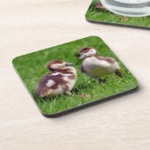 Zwei Küken ägyptischer Gänse Getränkeuntersetzer (Linke Seite)
