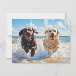 Zwei Labrador Retriever am Strand Postkarte