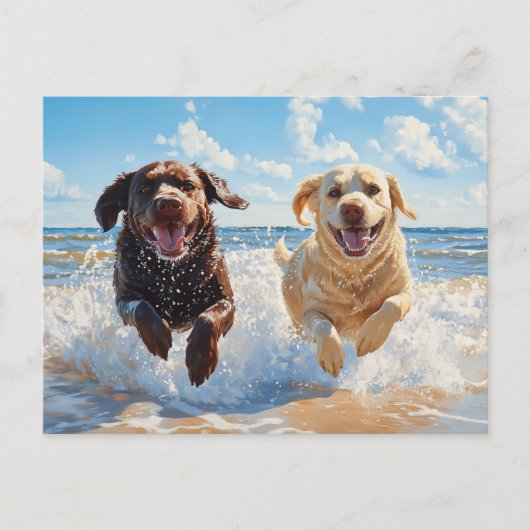 Zwei Labrador Retriever am Strand Postkarte (Vorderseite)