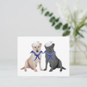 Zwei Labrador Retrievers Postkarte (Stehend Vorderseite)