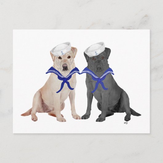 Zwei Labrador Retrievers Postkarte (Vorderseite)