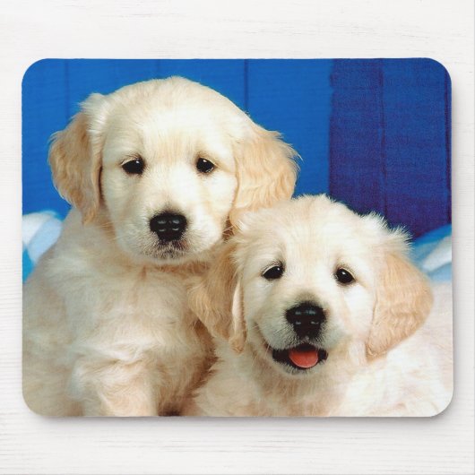 Zwei Labrador-Welpen Mousepad (Vorne)
