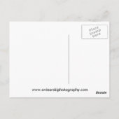 Zwei Labradore Postkarte (Rückseite)