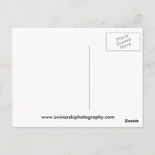 Zwei Labradore Postkarte (Rückseite)