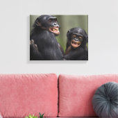 Zwei lächelnde Bonobos Leinwanddruck (Insitu (Wohnzimmer))