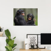 Zwei lächelnde Bonobos Poster (Heimbüro)