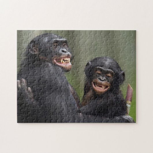 Zwei lächelnde Bonobos Puzzle (Horizontal)