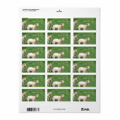 Zwei Läden Adressaufkleber (Vorne)