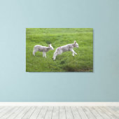 Zwei Läden Leinwanddruck (Insitu (Holzboden))