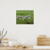 Zwei Läden Poster (Küche)