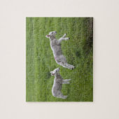 Zwei Läden Puzzle (Vertikal)