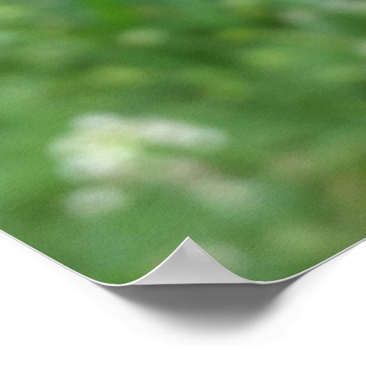 zwei Ladybugs Poster (Ecke)