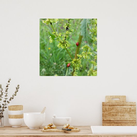 zwei Ladybugs Poster (Küche)