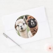 Zwei Lamas Runder Aufkleber (Umschlag)