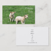 Zwei Lamm-Visitenkarten Visitenkarte (Vorne/Hinten)