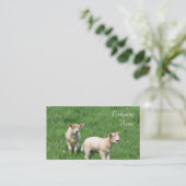 Zwei Lamm-Visitenkarten Visitenkarte (Stehend Vorderseite)