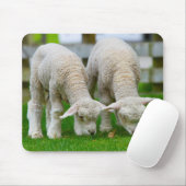 Zwei Lämmer Weiden Mousepad (Mit Mouse)