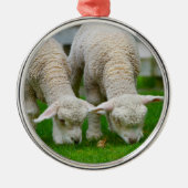Zwei Lämmer Weiden Silbernes Ornament (Vorne)
