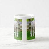 Zwei Lämmer Weiden Tasse (Mittel)