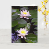 Zwei Leichtwasserlilien Karte (Gelbe Blume)