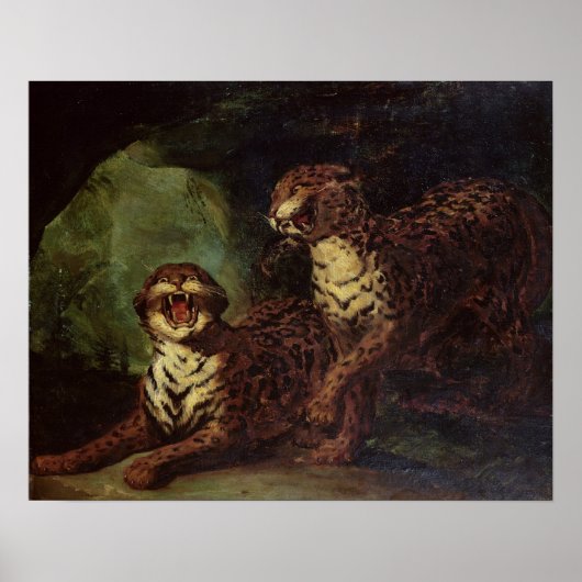 Zwei Leoparden, c. 1820 Poster (Vorne)